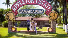 Zuidkust Tour: Appleton Estate Rum Tour