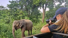 Kandy: 4-Day Sri Lanka Full Circle Private Tour To Colombo