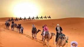 From Merzouga: Overnight Camel Trek over Erg Chebbi Dunes