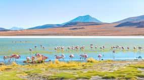 De Uyuni: Laguna Colorada e Salar de Uyuni 3 dias + refeições
