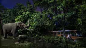 Singapura: Ingresso para o Safari Noturno e para o Passeio de Elétrico