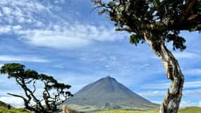 Pico island: highlights, wine tasting and local gastronomy