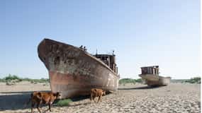 Daytrip from Khiva to Aral Sea Cemetery of Ships. All in one