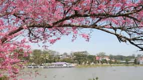 From Nha Trang: Best Seller Top Site Luxury Da Lat City Trip