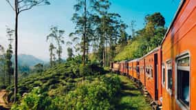 From Nuwara Eliya: Ella Scenic Train Ride Reserved Seats