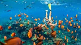 Coki Beach: Snorkel Experience