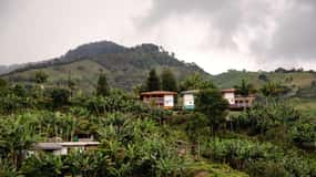 De Medellín: Tour particular de 2 dias em Jardín com actividades