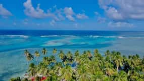 3D/2N Excursión por las islas de San Blas + Viaje a Cayos Holandeses