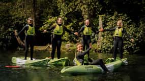 Depuis Dublin : Expérience de kayak assis sur le toit