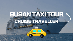 Busan Cruise Shore Excursion Private Taxi Tour Car Charter