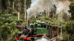 Melbourne: Puffing Billy Steam Train and Philip Island