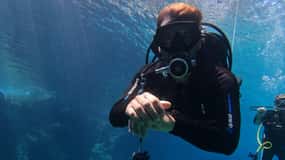 Chania: Try Scuba Diving for Beginners