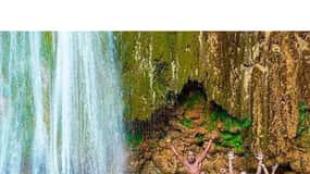 Punta Cana: Samaná Cayo Levantado & El Limón Waterfall Tour