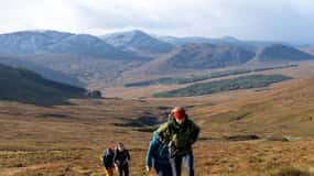Da Edimburgo: Escursione di un giorno ai Cairngorms con guida