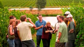 Melbourne: Experiência vinícola de dia inteiro em Yarra Valley com almoço