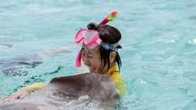Bora Bora: Full-Day Lagoon Snorkelling Tour