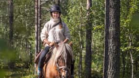 Levi: Iltainen ratsastusretki revontulien kanssa