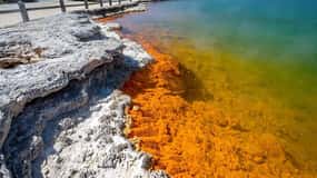 Rotorua: Wai-O-Tapu, Redwoods und Secret Spot – Tagestour
