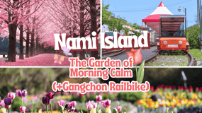 Séoul : L'île de Nami et le Jardin du Matin Calme (+Vélo)