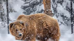 Great Plains Zoo