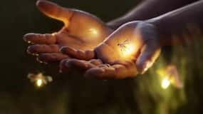 Ubud: Village Firefly Night Tour with Dinner