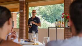 Bardolino: Tour gastronomico con degustazione di vino, olio d'oliva e prodotti alimentari