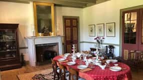 New Orleans: Oak Alley & Laura Plantation Tour mit Transport