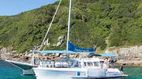 Nelson Bay: Marine Discovery Cruise with Snorkeling