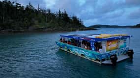 Airlie Beach: Glass-Bottom Boat Tour