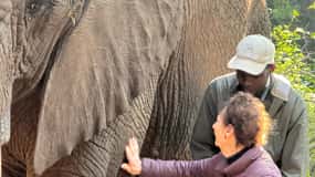 Johannesburg: Elephant, Horse Riding, and Lion Safari Tour