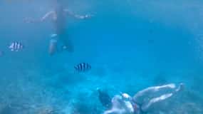 Praslin : Curieuse & St. Pierre excursion en bateau avec BBQ