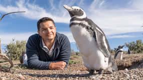 Beagle Channel to Martillo Island and Walk among Penguins