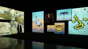 National Portrait Gallery Unframed: Stories Brought to Life