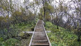 Reykjavik: Thorsmork Valley and Gigjokull Glacier Tour