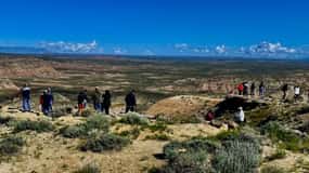 Cody: Wild Mustang Small Group Eco Tour