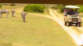 Port Elizabeth: Schotia Private Game Wildlife Safari