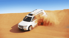 Doha: Safari nel deserto di mezza giornata dall'aeroporto/hotel/porto della crociera