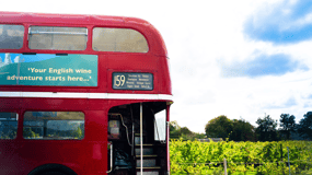 Depuis Brighton : Visite en bus du Sussex avec déjeuner
