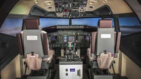 Boeing 737-800NG Professional flight simulator - 50 minutes