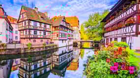 Private day trip: Basel to Alsace Wine Region, local driver