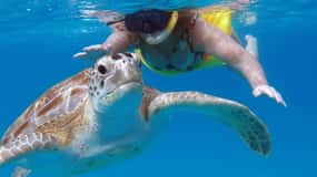 Barbados: Private Catamaran Snorkel Trip