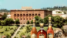 Shopping with Brandy: Tour to Brandy factories and markets