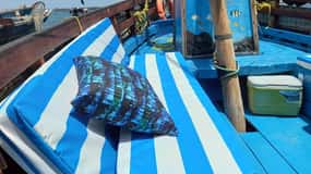 From Mombasa: Kisite Mpunguti Marine Park and Wasini Island