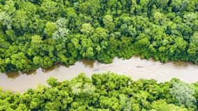 From Iquitos | 6-day Amazon rainforest tour
