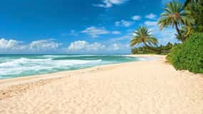Oahu: Guided Tour of North Shore and Waimea Botanical Garden