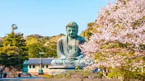 鎌倉：茶道とガイド付きベスト・デイ・ツアー