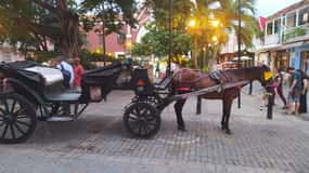 Cartagena: COLLONIAL HORSE DRAWN CARRIAGE by THE OLD CITY