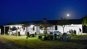 Alghero: Cena nel vigneto con vino