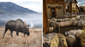 Yukon Wildlife Preserve e Eclipse Nordic Hot Springs
