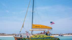 Panama City Beach: Tour di snorkeling in catamarano di Shell Island